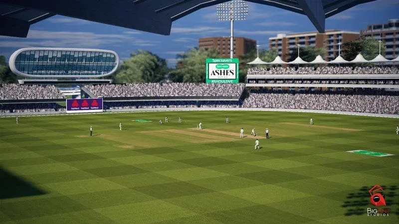 Cricket 2019 International Edition (PS4)