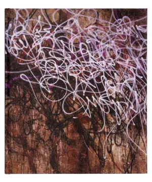 José Parlá : ADAPTATION / TRANSLATION book