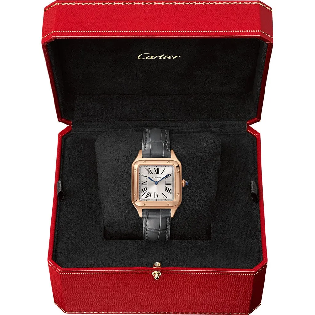Santos-Dumont watch WGSA0022